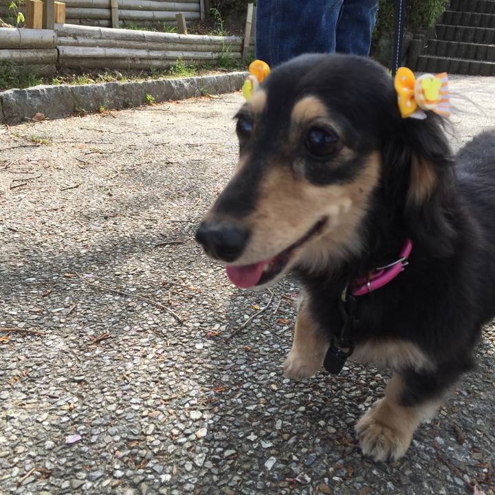 483b2d65 3ce0 40b1 9857 fafee7421411 1520122457983