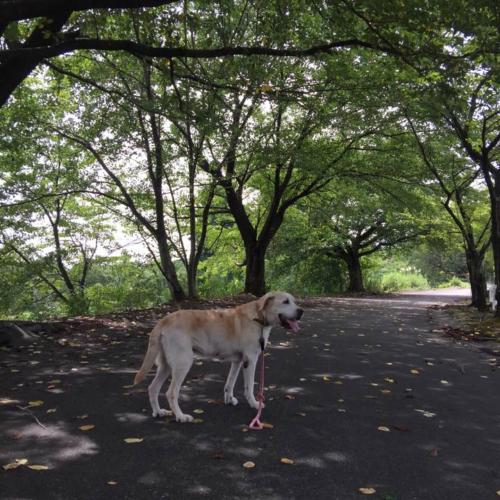 483b97c1 52bb 4462 a28f c4c134470c77 1535859341665