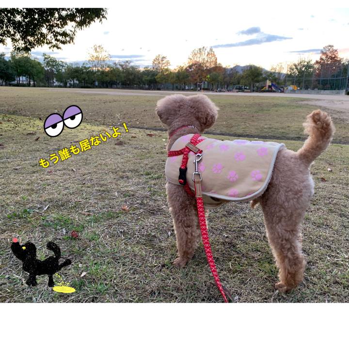 483bd5e2 c91e 44fc a8b4 a4c1986c84c2 1542097707158