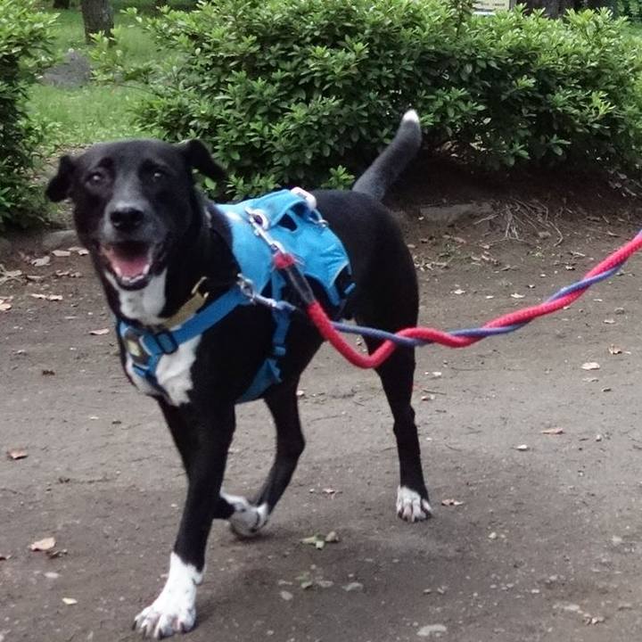 483bf98b d24e 4f4c a2a4 9f2a8a00a9c8 1623072929540