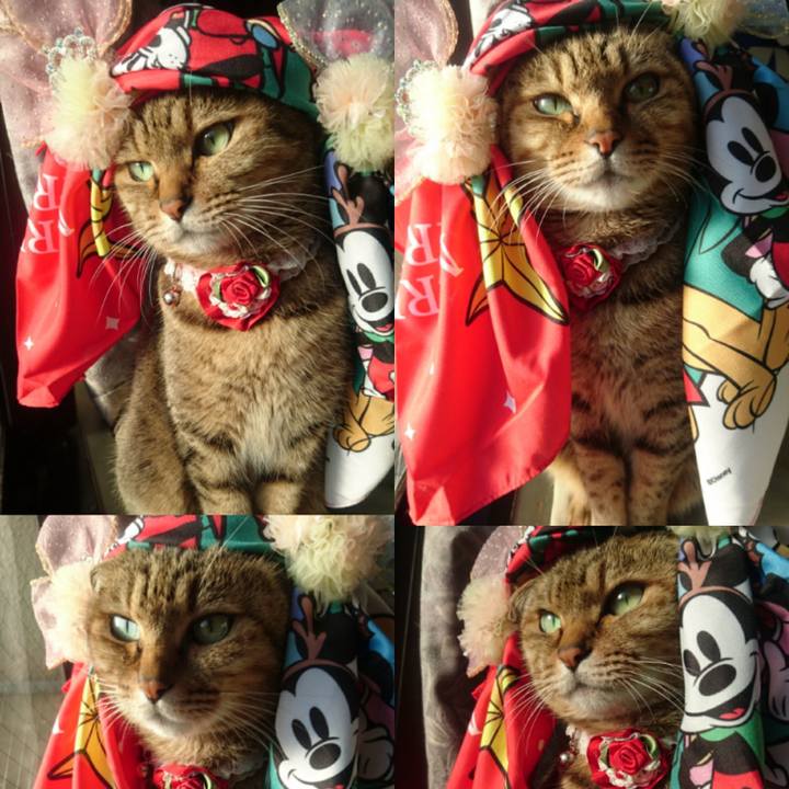 483c014e 3c6f 4f57 9a78 d1b946f01644 1768778817674