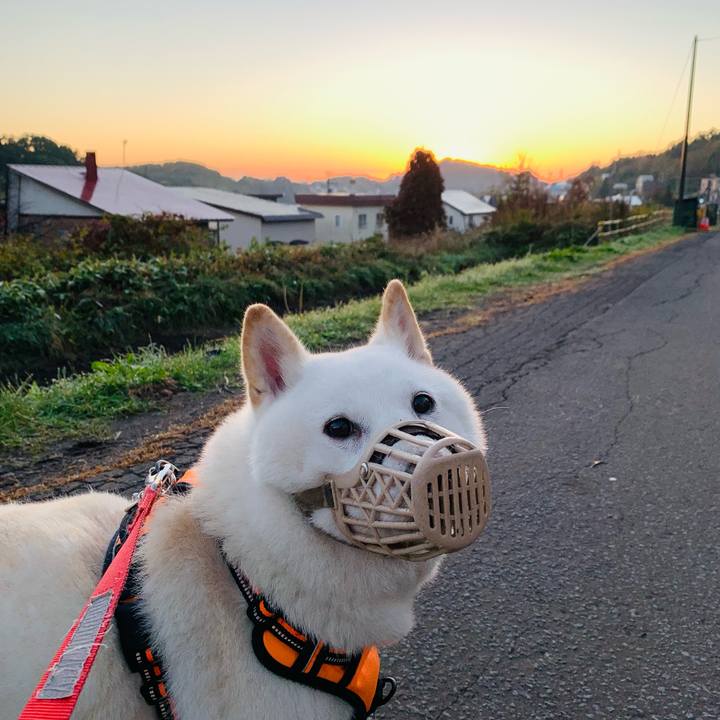 483c10d4 9c7c 431a ba55 2b482d998a71 1634076157380