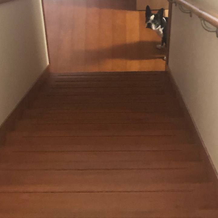 483c377d 85fe 4547 ba73 3b1f38575535 1721260827248