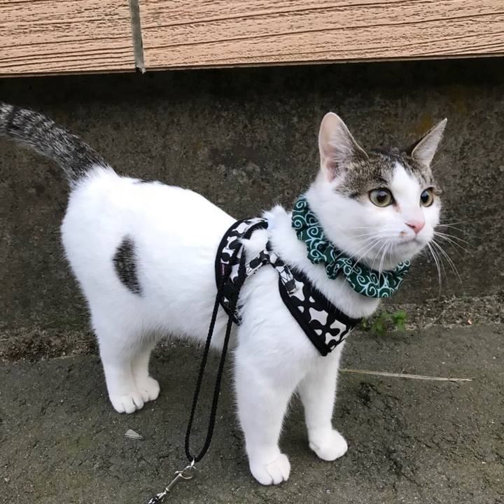 483c3aad 2c57 4c5a 892e 0c3c17c941cf 1524701128524