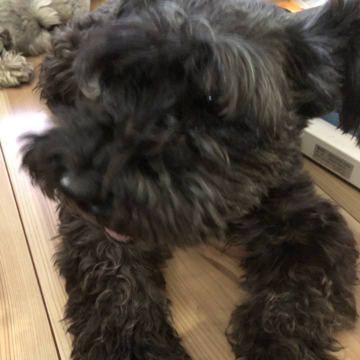 483c5816 91e2 4162 a7ce d4786e7aca2c 1567747220562