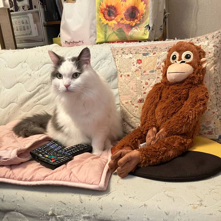 483c7f98 1c7e 4da5 a7c2 b3fe52a03730 1774925977031