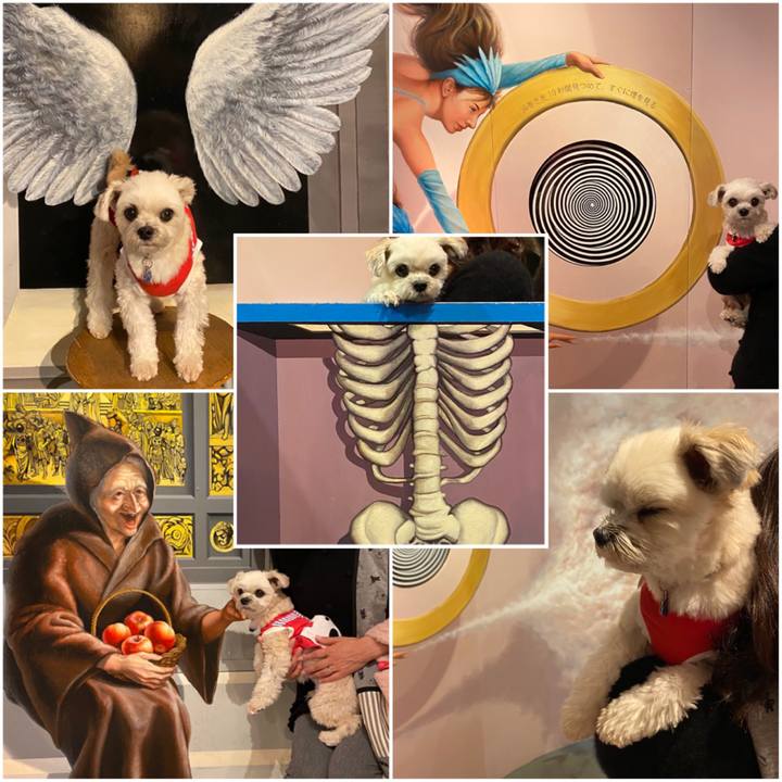 483cc115 8049 4f06 aec1 d82f2cda11d2 1574594416461