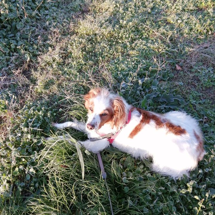 483d26ad 3329 4104 8146 6b0b29175d57 1574991391020