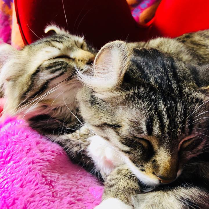 483d32cc 12f9 40ef 9aa2 2137fba3e81a 1520780638912