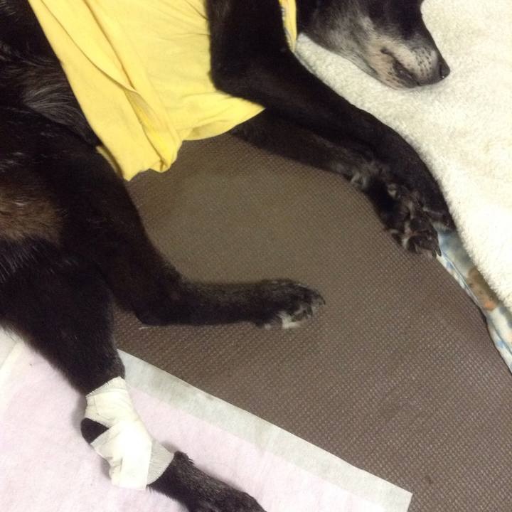 483d3c8f 8524 41ed 98e1 55b3e0832923 1517133899657