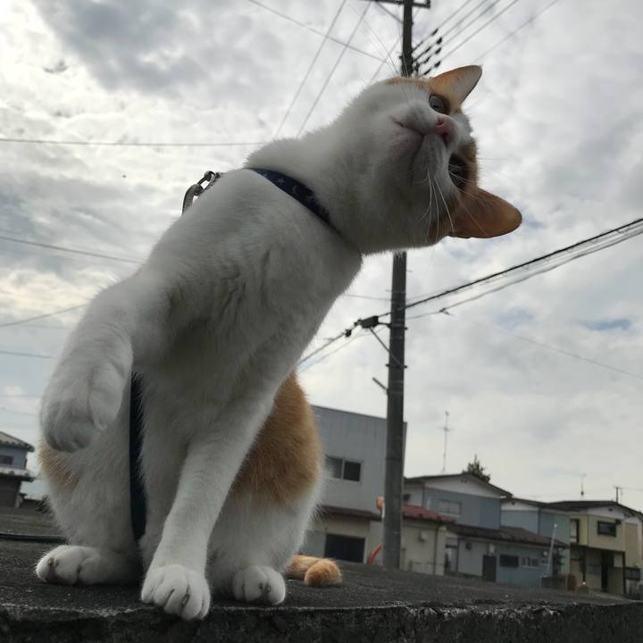 483d6f9a d7d7 44f8 8878 9dc048c58e27 1509157801220