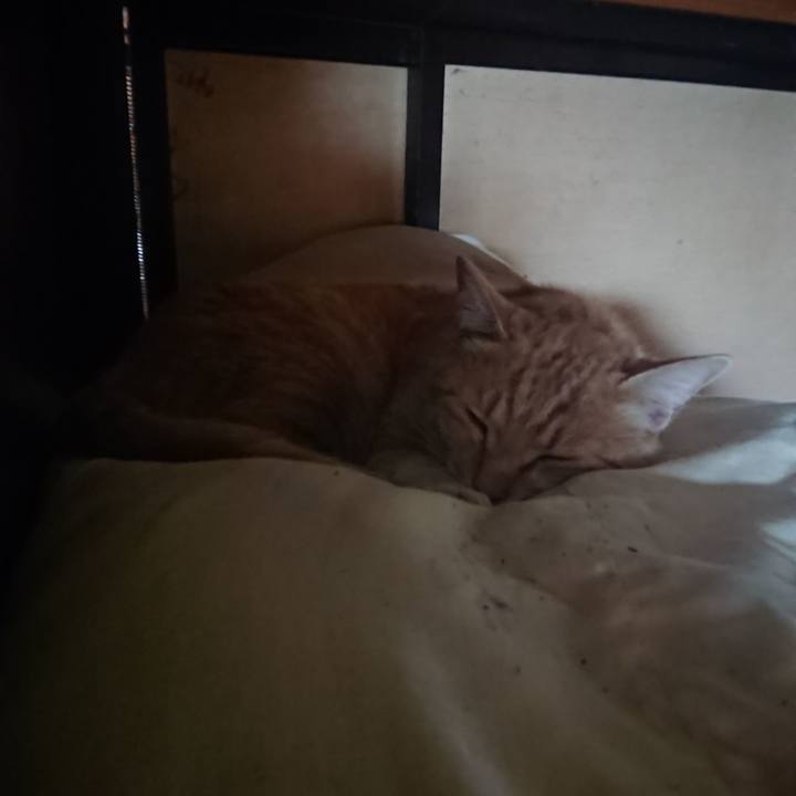 483d72a6 0a70 4c15 9d16 67f3a11c6d2f 1588566089633