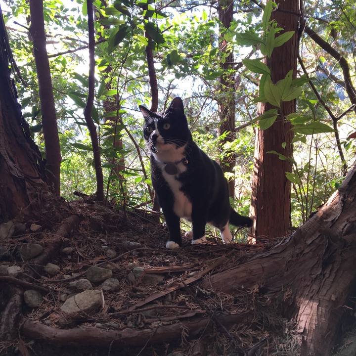 483d9e8f 6615 4a21 a488 f8e7f0f50dcb 1549804211914