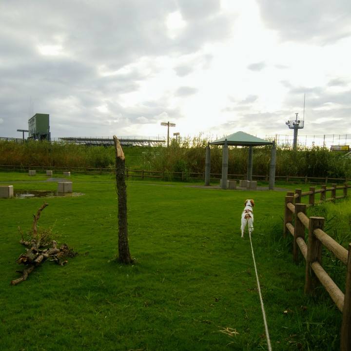 483dc972 87aa 4b38 b838 11e19505a022 1536579432773