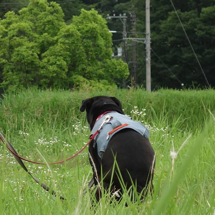 483dcf55 04ac 433f bc3c b72ce5e614ca 1751412317562