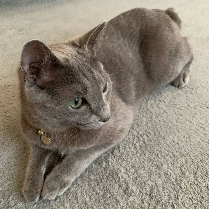 483de0e5 489e 4625 8fd3 709ab41b923d 1659327928750