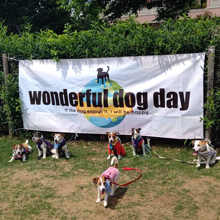 483df122 210d 457f 9d21 665660db7ac2 1653743224290