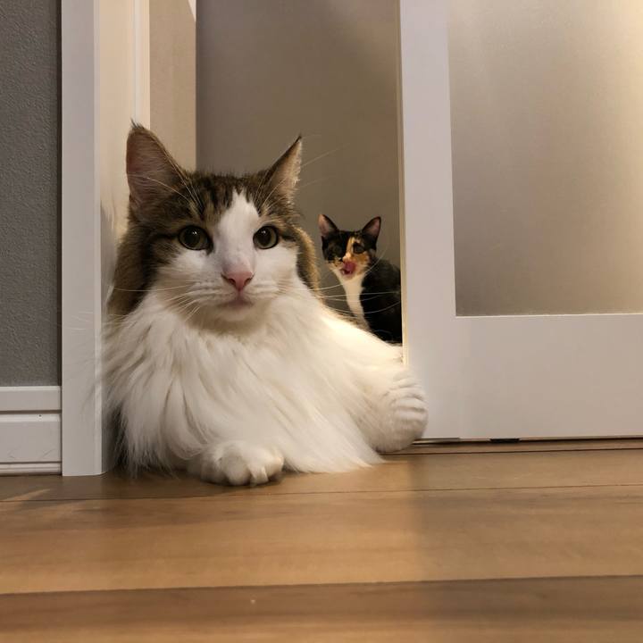 483e099f f224 4c83 9926 3a475d016a5d 1639438398590