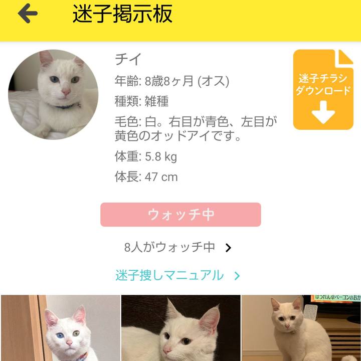 483e3202 2700 456f abd0 3bab459474ad 1608201625681