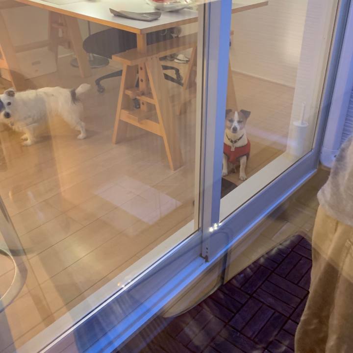 483e793f 9e91 40de 8163 c7eca65b1c87 1596966660696