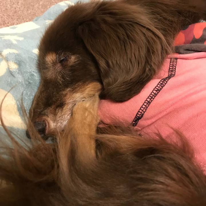 483eab50 6365 4628 b0c5 1da5d52a5336 1520239521959