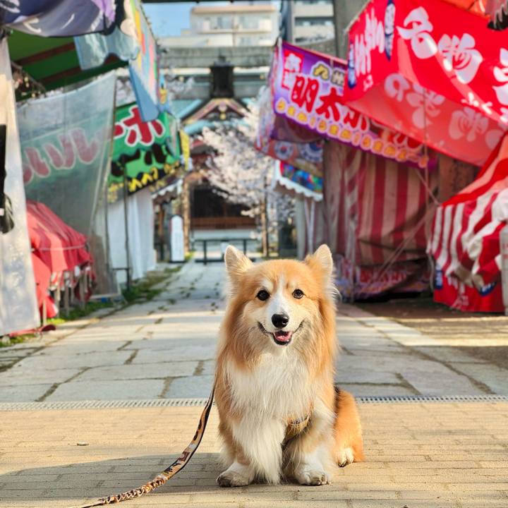 483eb616 2f97 4d25 8a14 a4ee6c4c5512 1775355306316