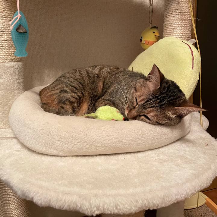 483ef5b6 3f4b 422f 975c 62ed59c49024 1629504624038