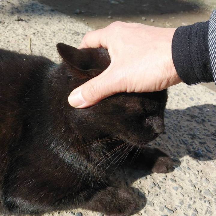 483f14ec f70c 44e5 9f3b b13c8541e973 1583462036965