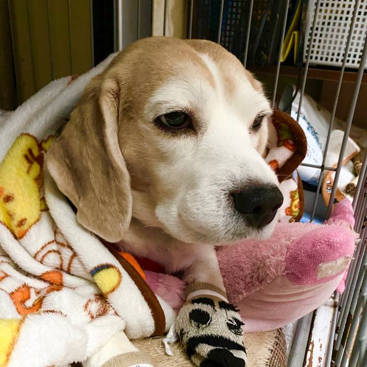 483f25ea 08cd 4038 9311 9d848300bc17 1581824349214