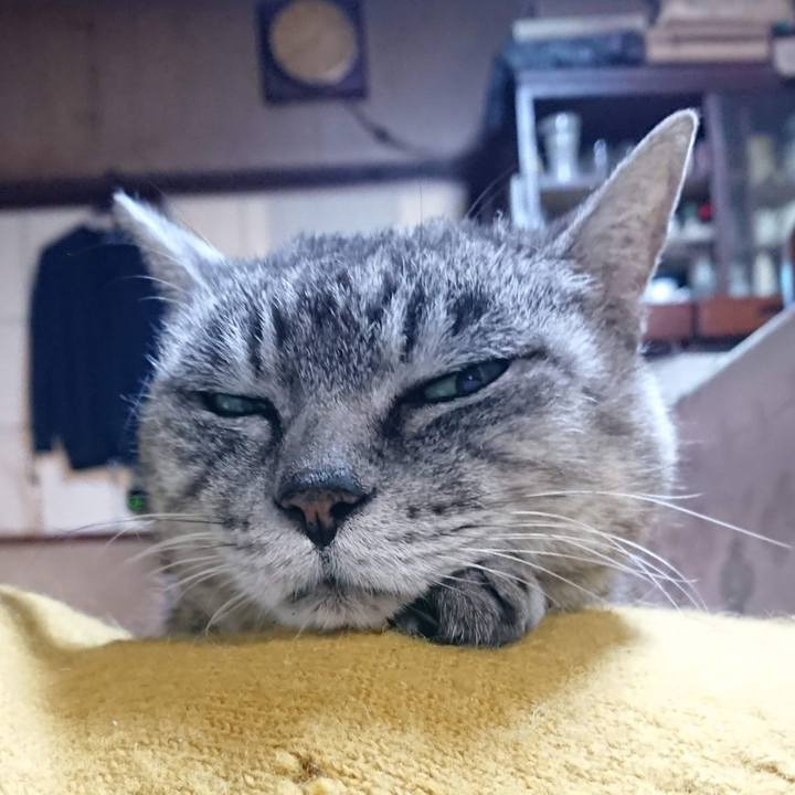 483f33c4 4ba5 4f89 9597 3be5e878fef6 1603917144704