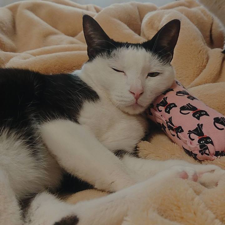 483f4ec4 5e69 43a4 831b 1db09cf74bc0 1554907621747