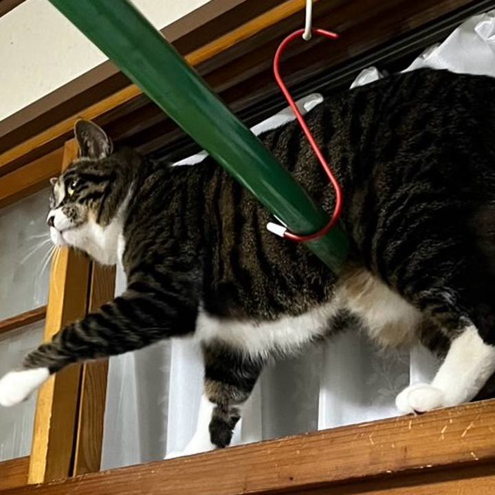 483f78b8 a213 4c71 8563 bebac4b088de 1776469051993