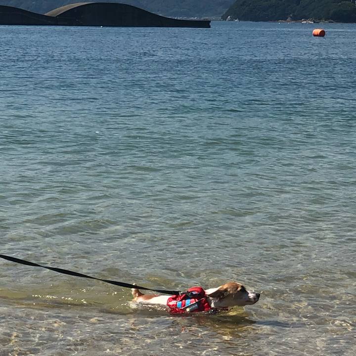 483fbff6 a9b7 4c5e aac1 d6cbc52cc0f3 1564912350351