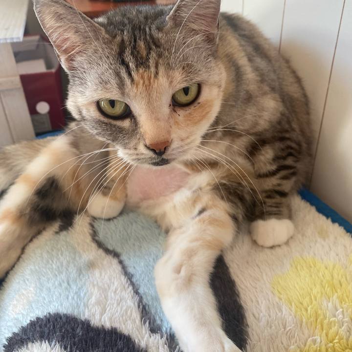 483fde55 a51b 4274 9826 7cca2639c152 1637723841042