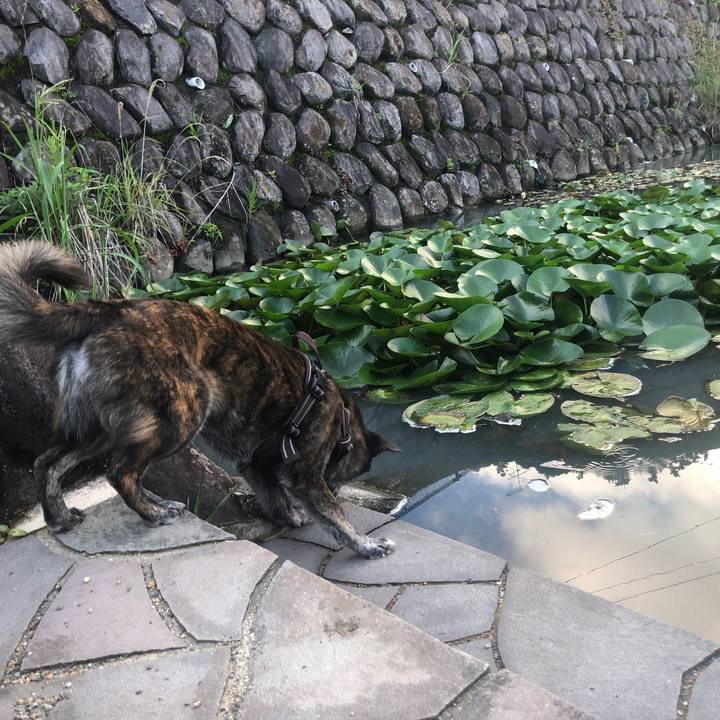 4840141f f848 4d53 962a 1b03456c3d8e 1621935079827