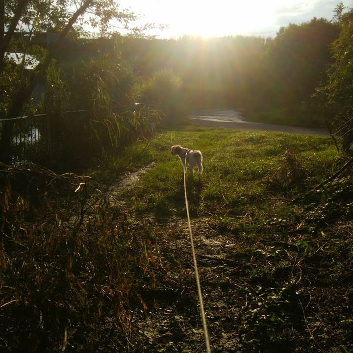 484043ef 2cef 4fde 8190 3cad2da94448 1536409458501