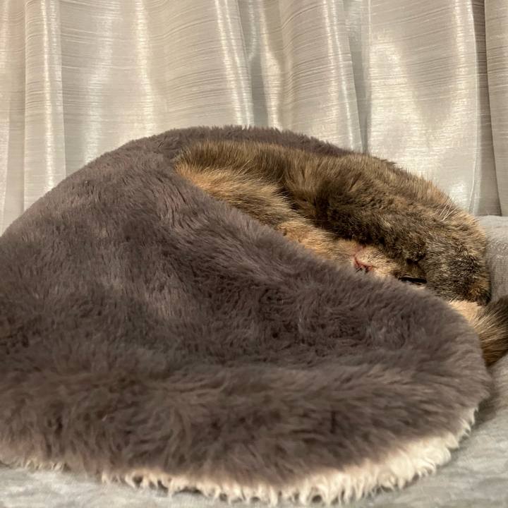 484050f6 8d94 41f8 a2ba 35b45111297b 1764675841939