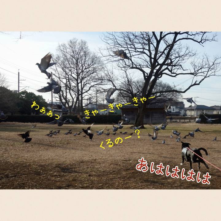 484063eb 9680 4d63 ae8f 3c41b060b050 1707959607650