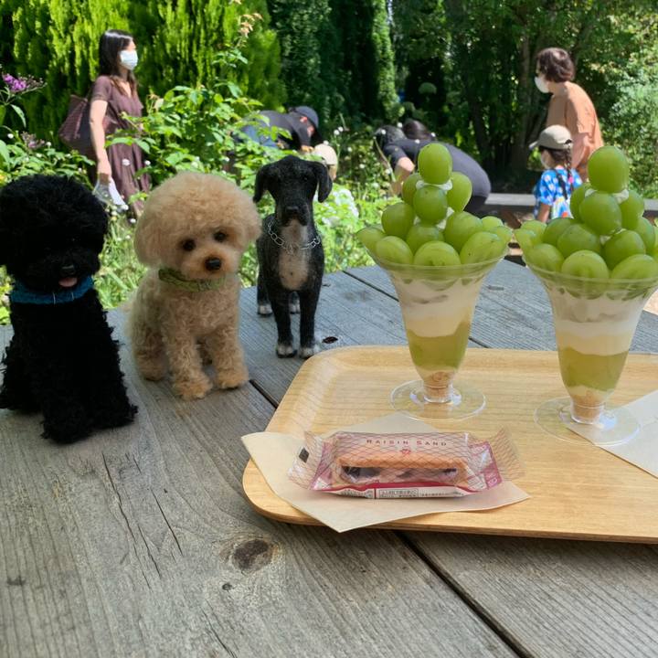 48406de0 a253 4424 bfd0 7c3436363484 1597474061927