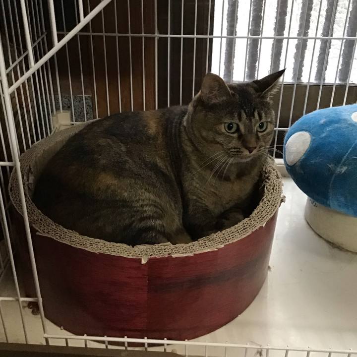 48407a82 ff9a 4da7 91d7 979b3fc5b87c 1727336964992