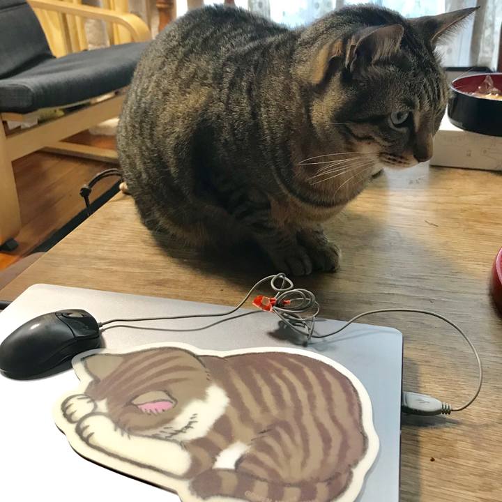 4840873c a472 4176 aa77 33f91db52150 1516168267993