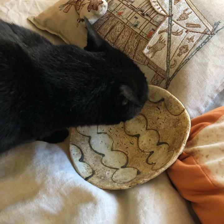 4840b086 62c5 4371 968c 22d7116e2115 1565417220524