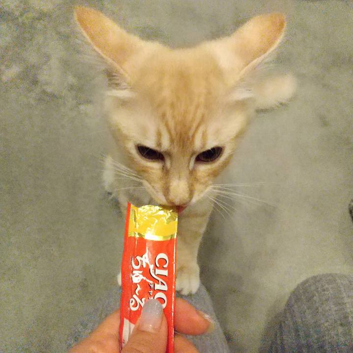 4840d657 723c 4938 8d1f bb9616e0dfa1 1608905578990