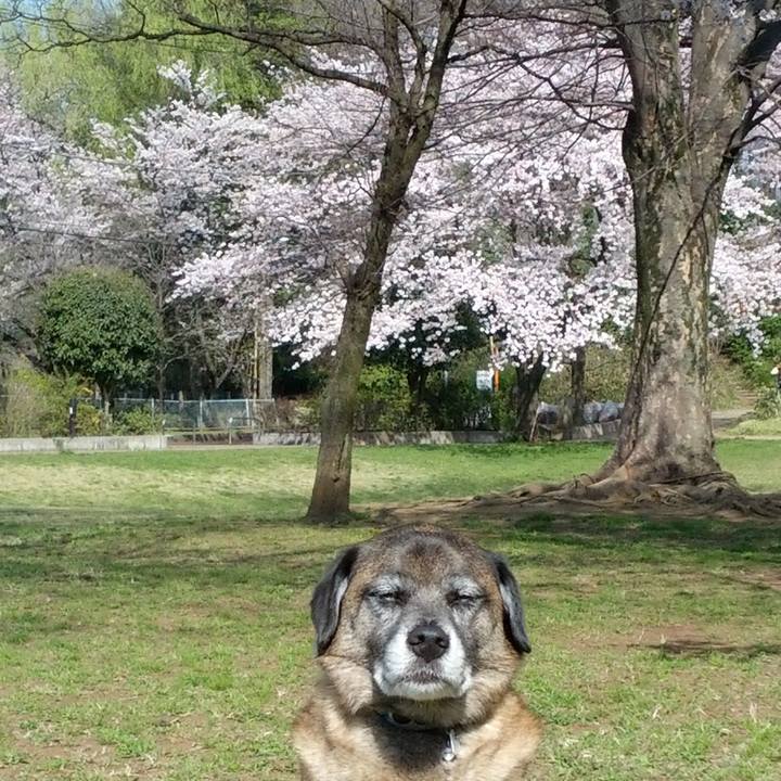 4840dda7 517f 4d37 a4bd 13dabf1bead1 1648689063278