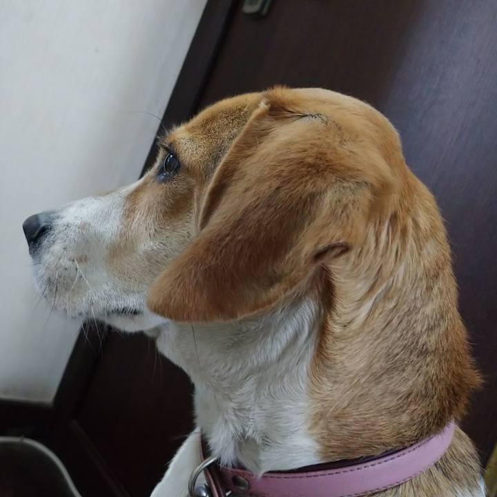 4840e3e7 6f24 40af 9a4f 6150683be6bd 1589615762860