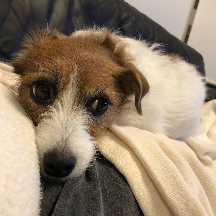 4840e4a4 9405 45ef 8c29 fc88d5c32153 1577532375206