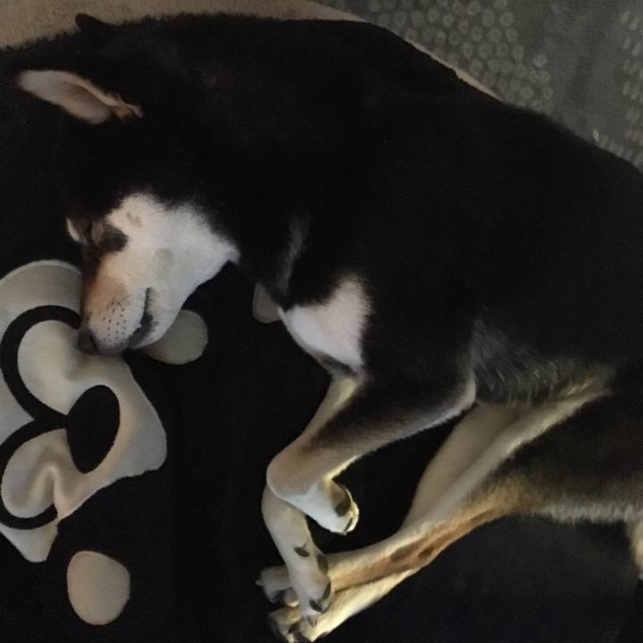 48412431 0108 406b 9a49 38d06edca2a1 1551306646910