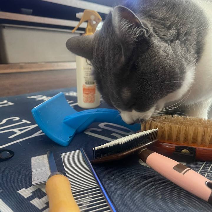 48413c8e 37cc 4d6f 876d b2aee94c8f17 1712456498841