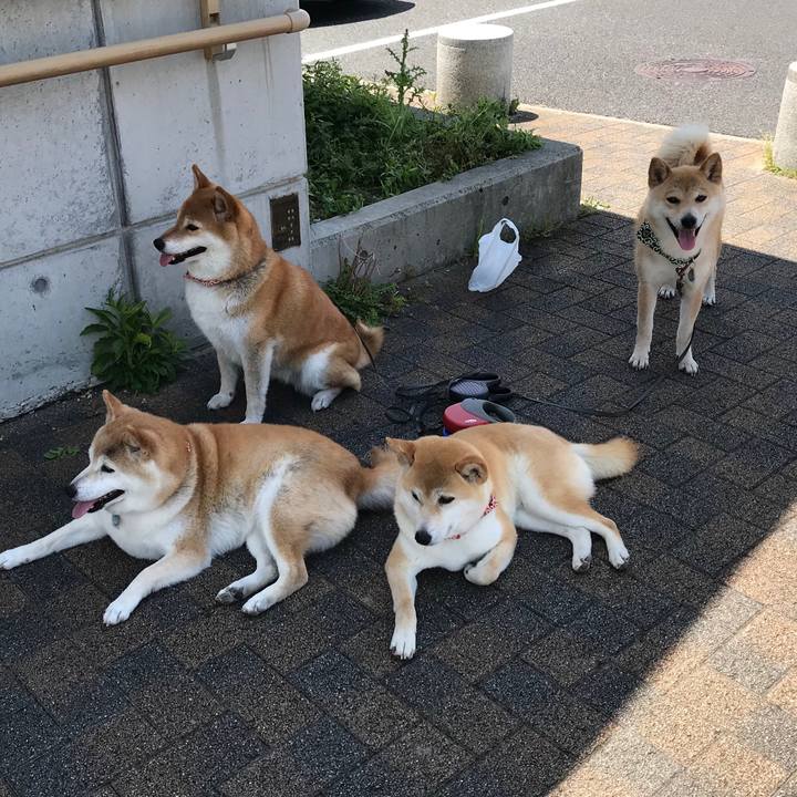 4841fe2d c497 4585 b5d8 6465b7f1d520 1526052697306