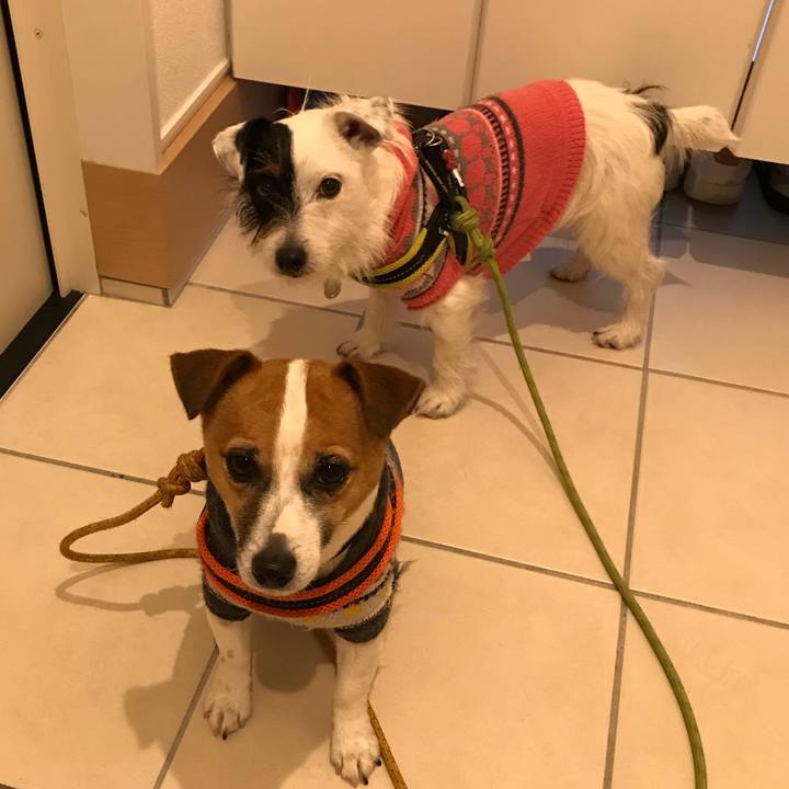 48420657 ed26 43dd a699 52778d317828 1518683015066